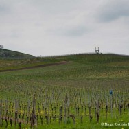 Kaiserstuhl