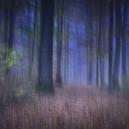 Wege zur Stille
