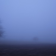 November Blues