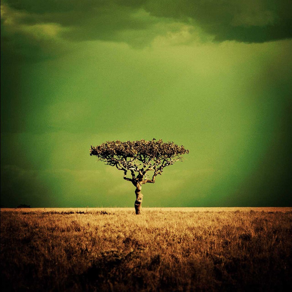 Eden