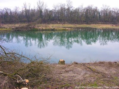 abholzung.jpg