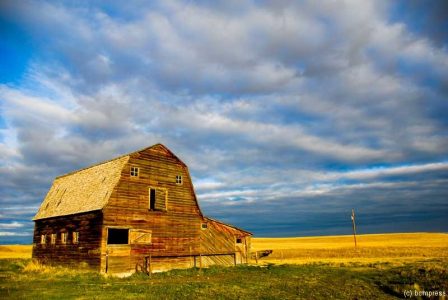 Barn