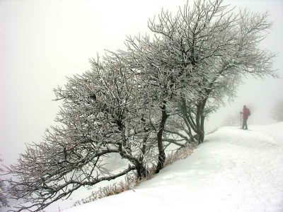 Schneeschuhabenteuer