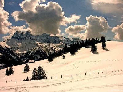 Winterwonderland