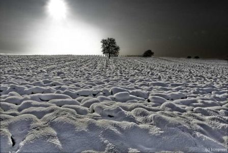 schneevongestern.jpg