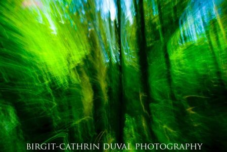 Dancing Trees