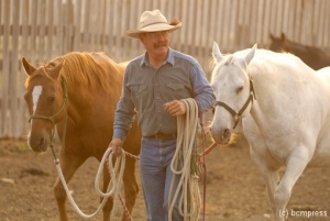 Gerry and horses web.jpg