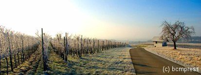bammerthuesli-wintersweiler-web.jpg