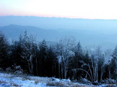 dscn3701.jpg