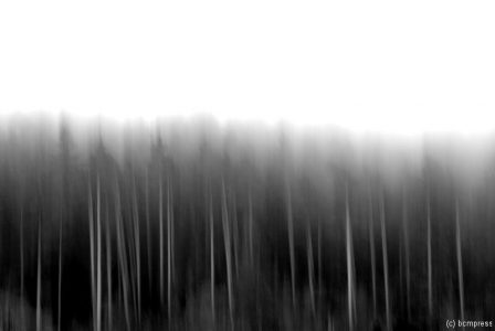 Nebel