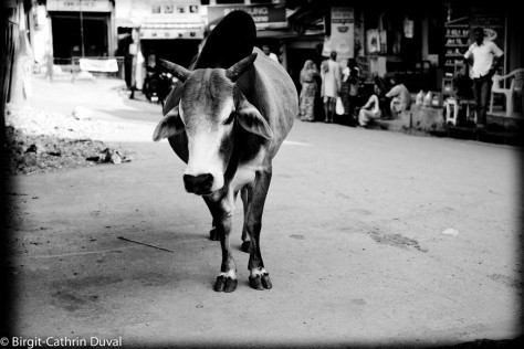 Rishikesh-Kuh