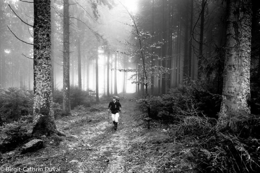 Unterwegs im mystischen Nebelwald