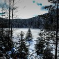 Herrenwieser-See Schwarzwald 
