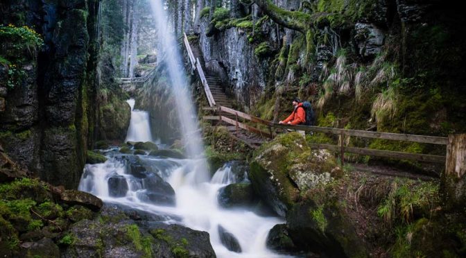 Albsteig Schwarzwald: Abenteuer im wilden Schluchtendschungel