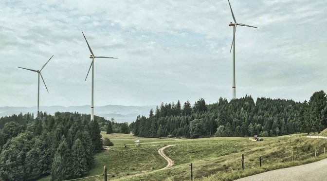 Windenergieanlagen im Wald