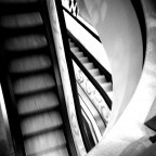 Zurück zu den Wurzeln 